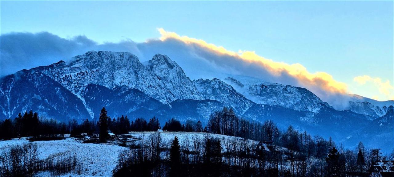 Domek Jelonek Bachledzki Wierch Zakopane Exteriör bild